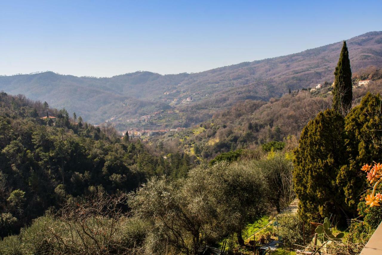 Agriturismo A Ca Vegia Calice Ligure ภายนอก รูปภาพ